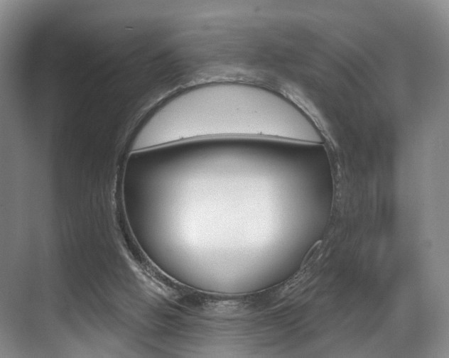 X0000069800058200605190920