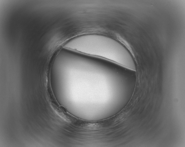X0000069800059200605190920
