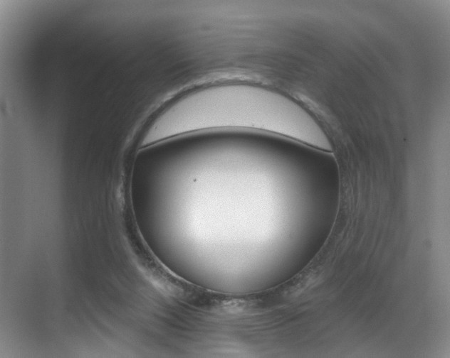 X0000069800064200605190920