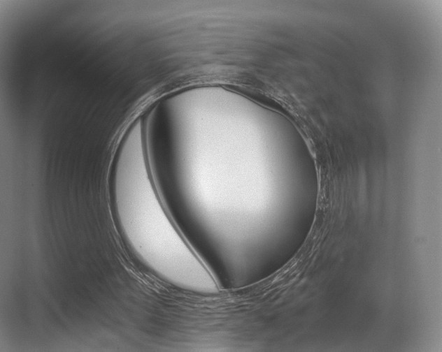 X0000069800099200605190920