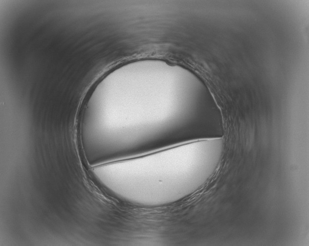 X0000069800100200605190920