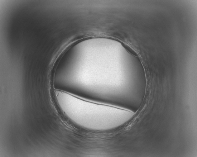 X0000069800103200605190920