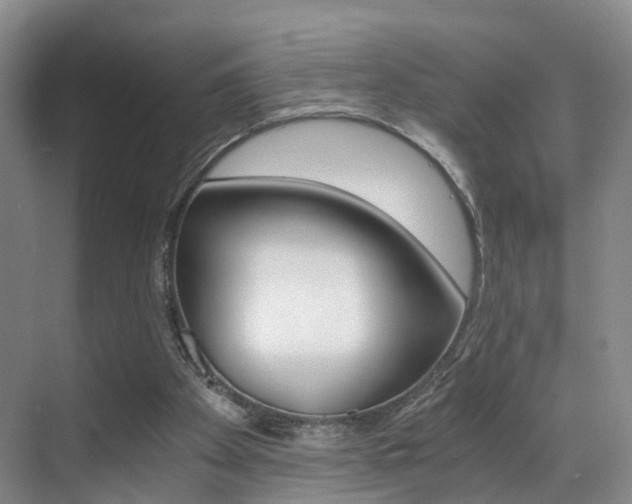 X0000069800105200605190920