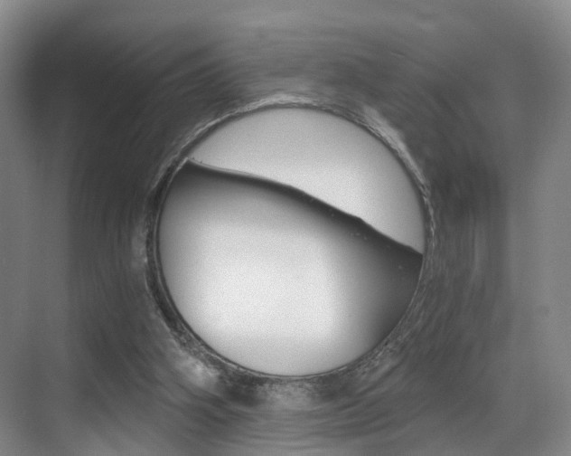 X0000069800106200605190920