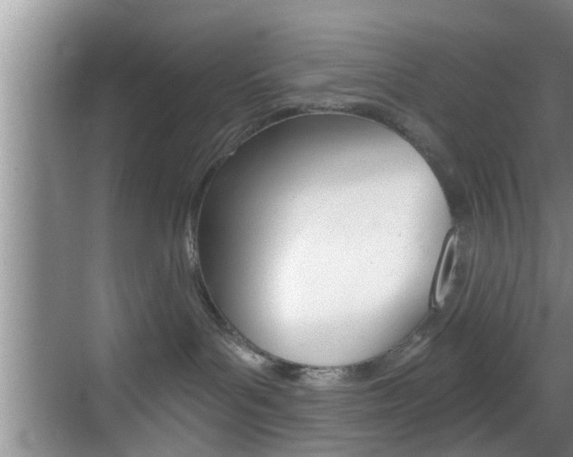 X0000069800143200605190919