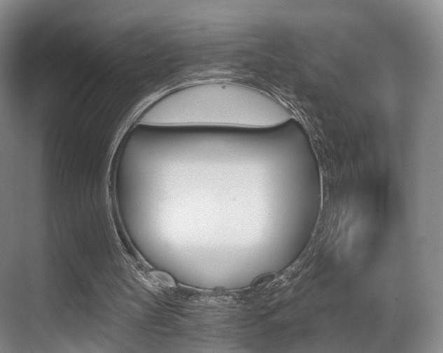 X0000069800147200605190918