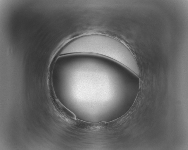 X0000069800152200605190918