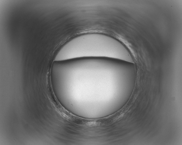 X0000069800153200605190918