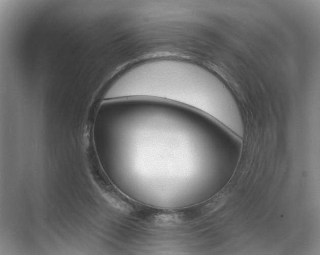 X0000069800160200605190918