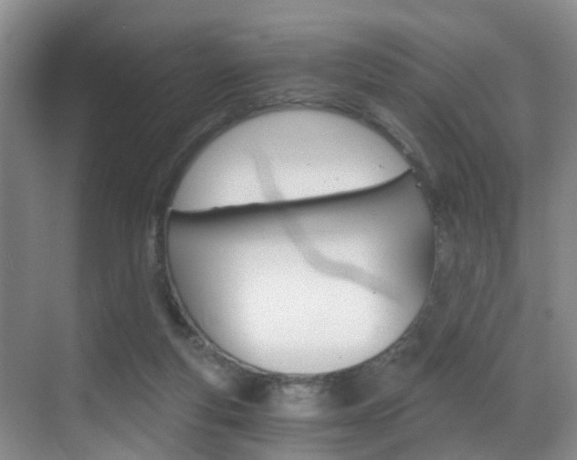 X0000069800163200605190918