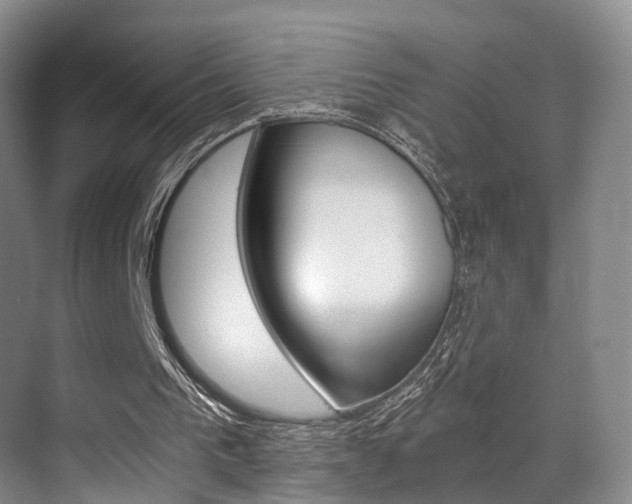 X0000069800193200605190918