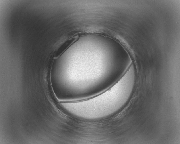 X0000069800201200605190918