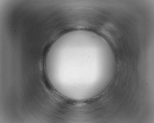 X0000069800210200605190918