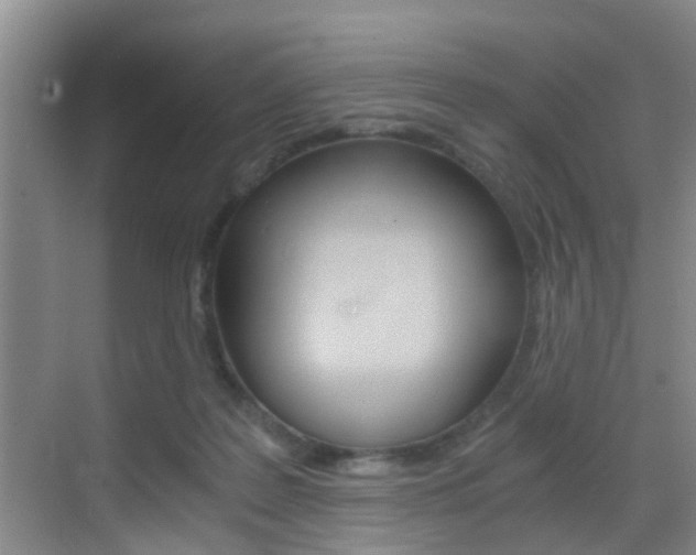X0000069800219200605190918