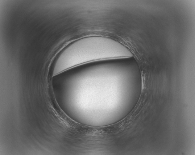X0000069800243200605190917