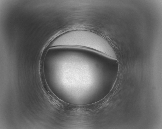 X0000069800244200605190917