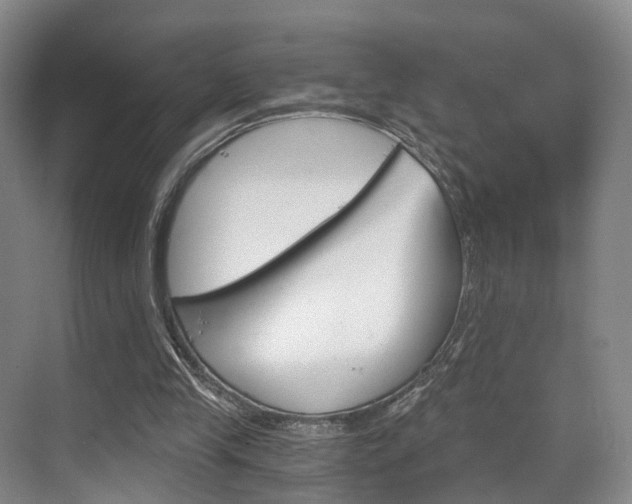 X0000069800245200605190917