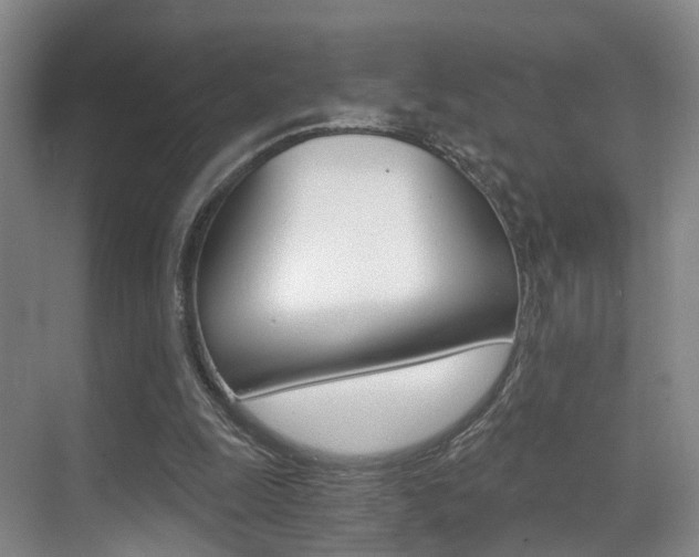 X0000069800247200605190917