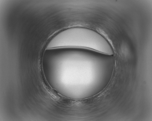X0000069800249200605190917
