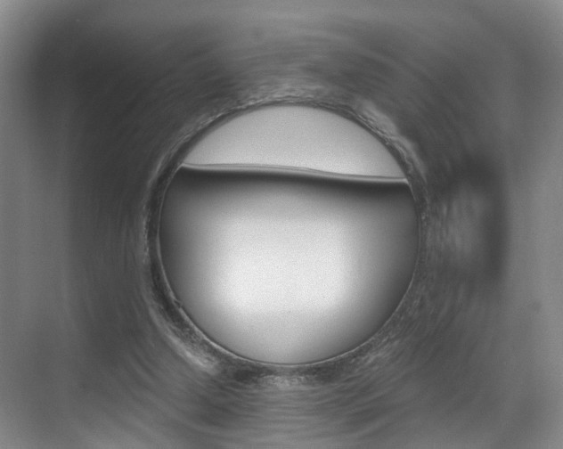 X0000069800250200605190917