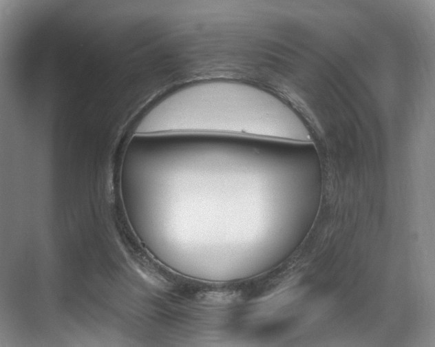 X0000069800251200605190917
