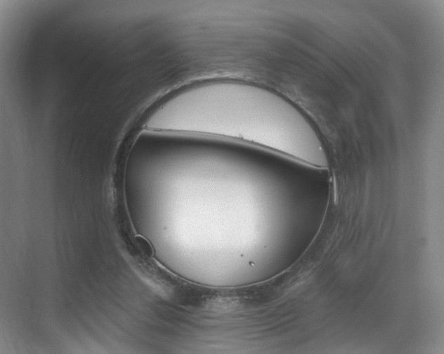 X0000069800252200605190917