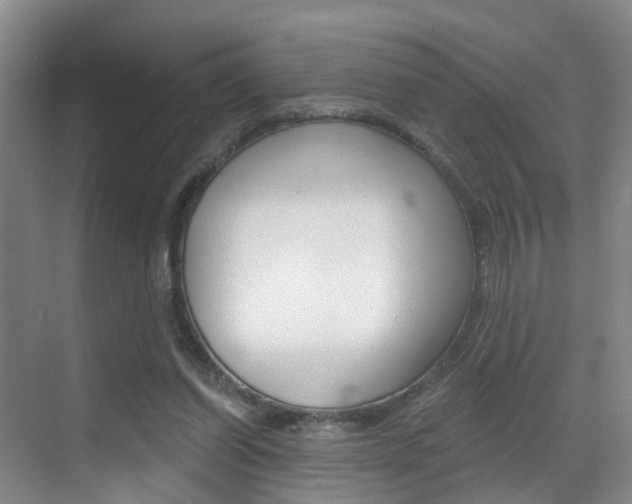 X0000069800254200605190917