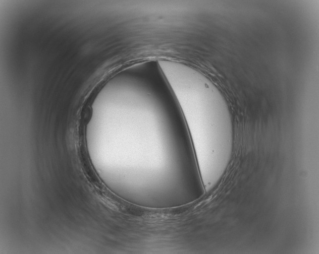 X0000069800291200605190917