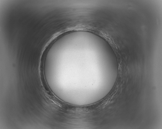 X0000069800292200605190916