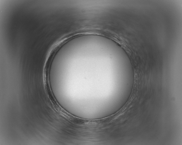X0000069800294200605190916