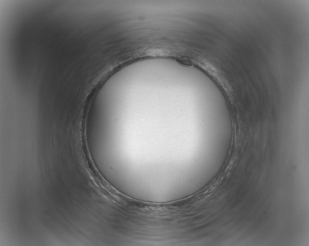 X0000069800297200605190916