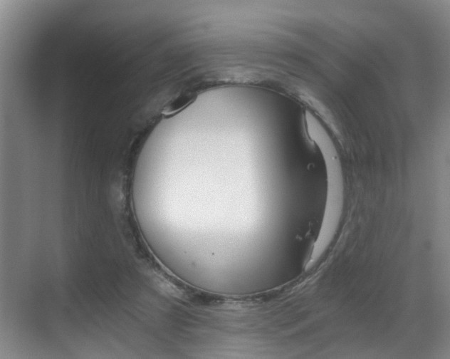 X0000069800305200605190916