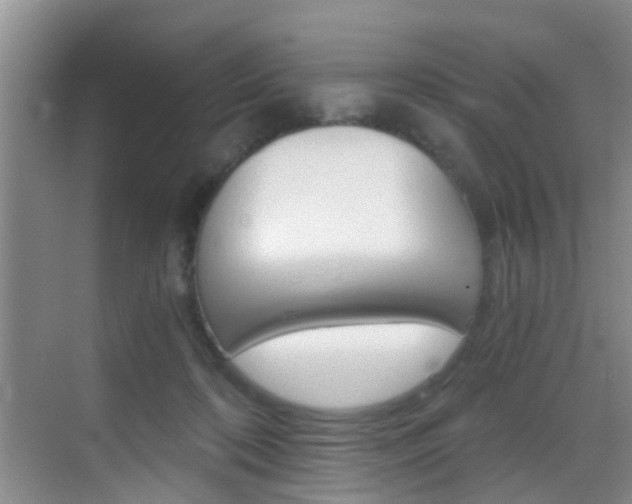 X0000069800316200605190916