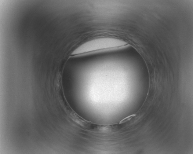 X0000069800325200605190916