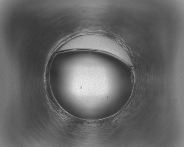 X0000069800340200605190915