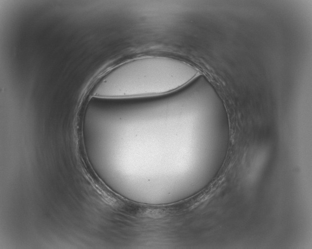 X0000069800341200605190915