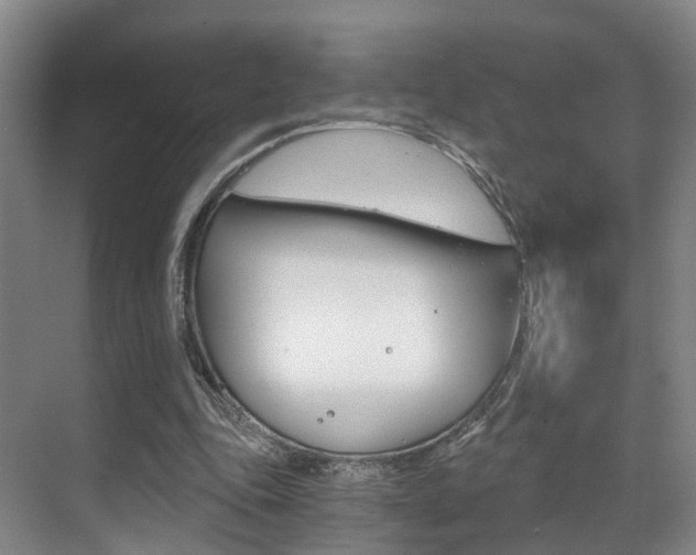 X0000069800343200605190915