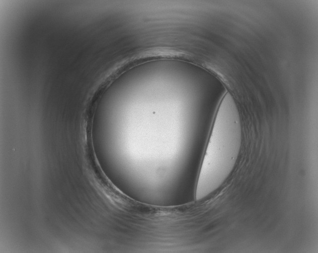 X0000069800350200605190915