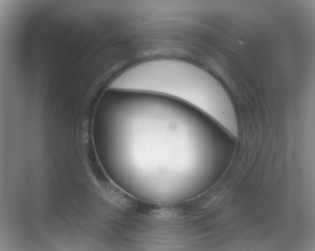 X0000069800356200605190915