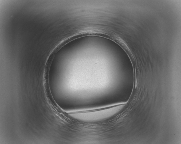 X0000069800387200605190915