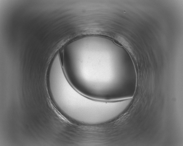 X0000069800389200605190915