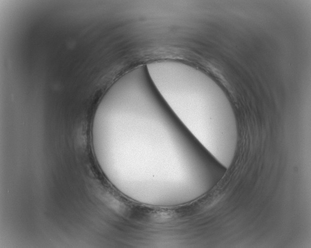 X0000069800402200605190915