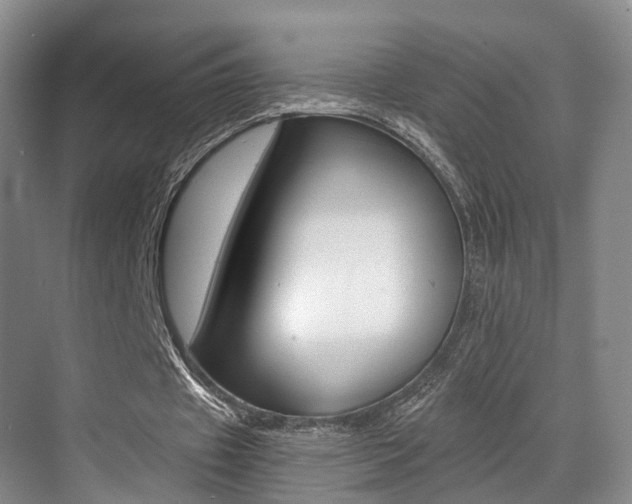 X0000069800433200605190913