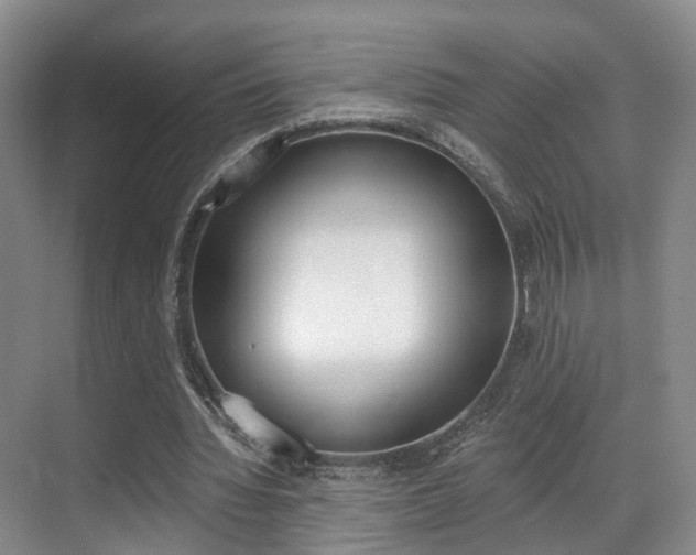 X0000069800436200605190913