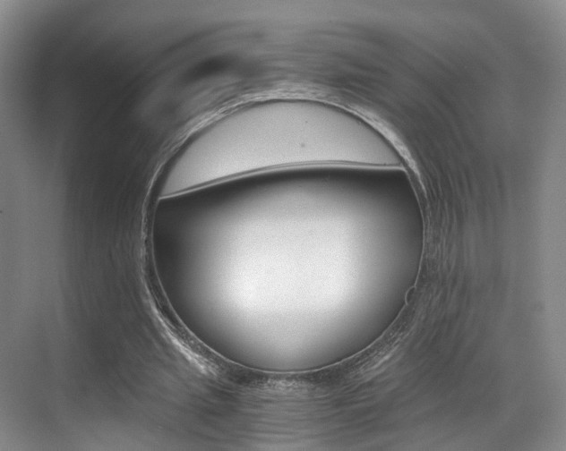 X0000069800437200605190913