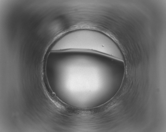 X0000069800438200605190913
