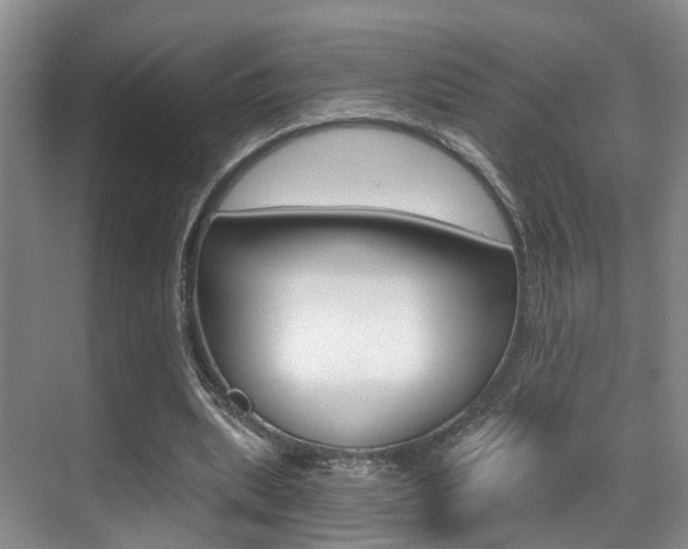 X0000069800439200605190913
