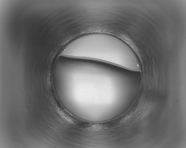 X0000069800441200605190913