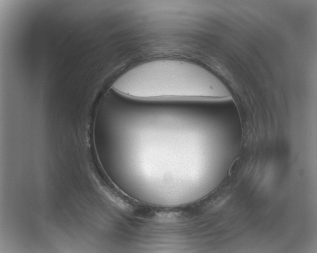 X0000069800450200605190914