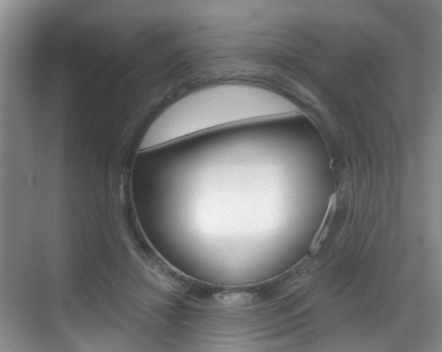 X0000069800452200605190914